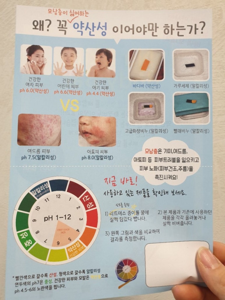 바로바디 이미지