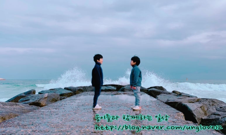 라일락카페라일락리조트 이미지