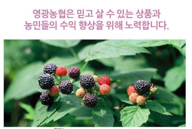 다드림푸드 이미지