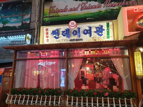 디스코포차 이미지