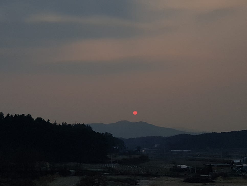 카페플루비아 이미지