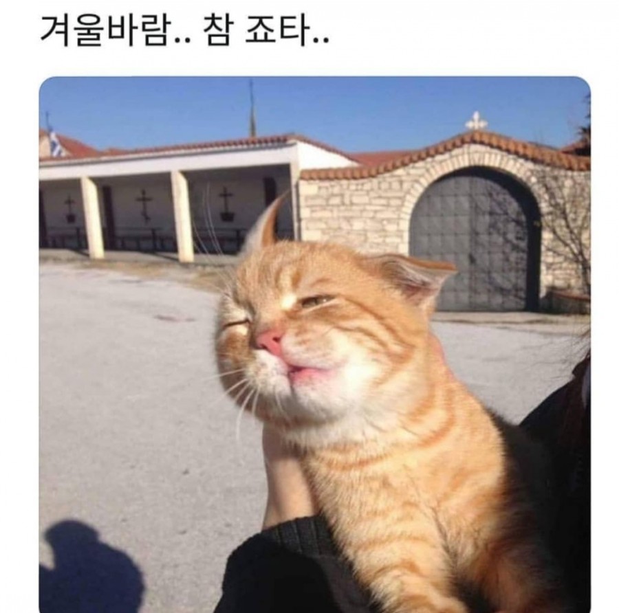 성수동꿀꽈배기 이미지