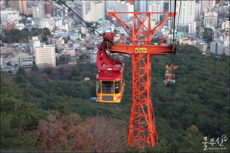 금강카 이미지