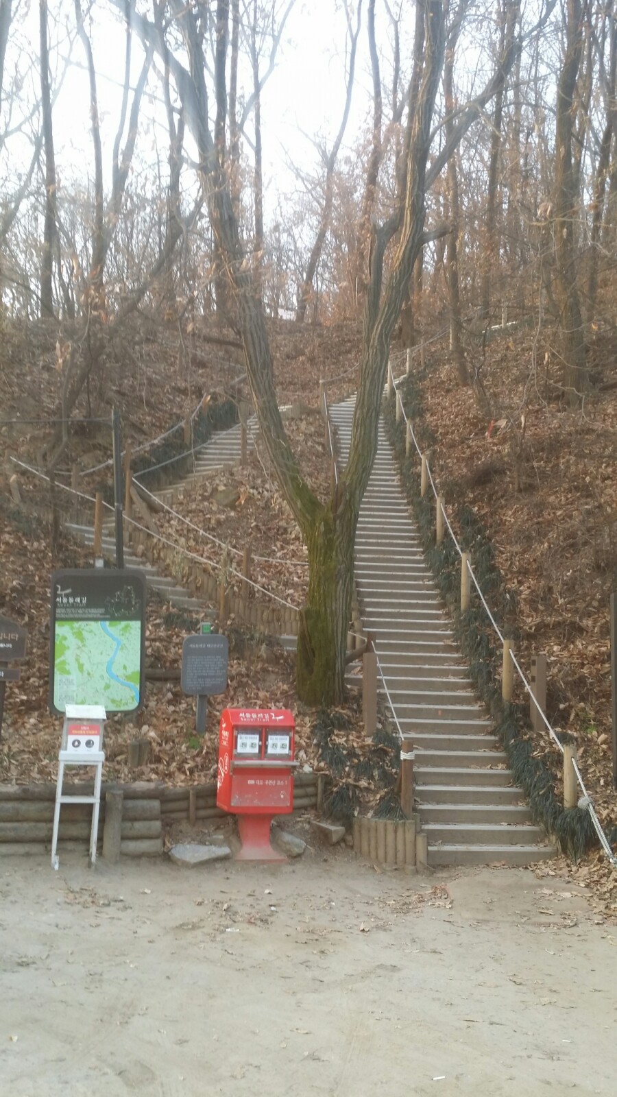 구룡산정상 조망대 이미지