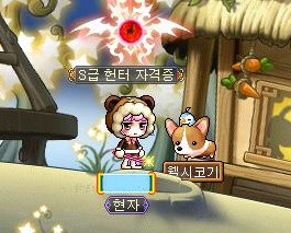 피어라헤어 이미지