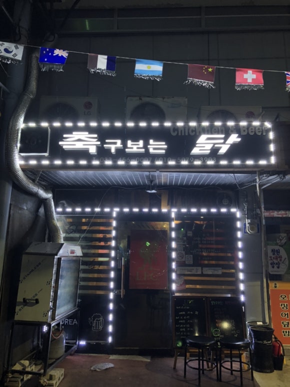 축구보는닭 이미지