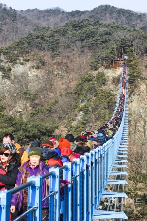 섬강식품 이미지