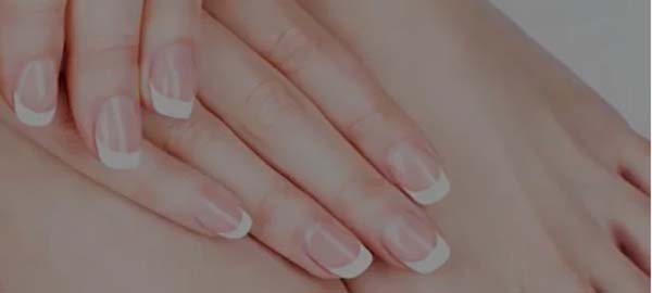 손톱모양 이미지