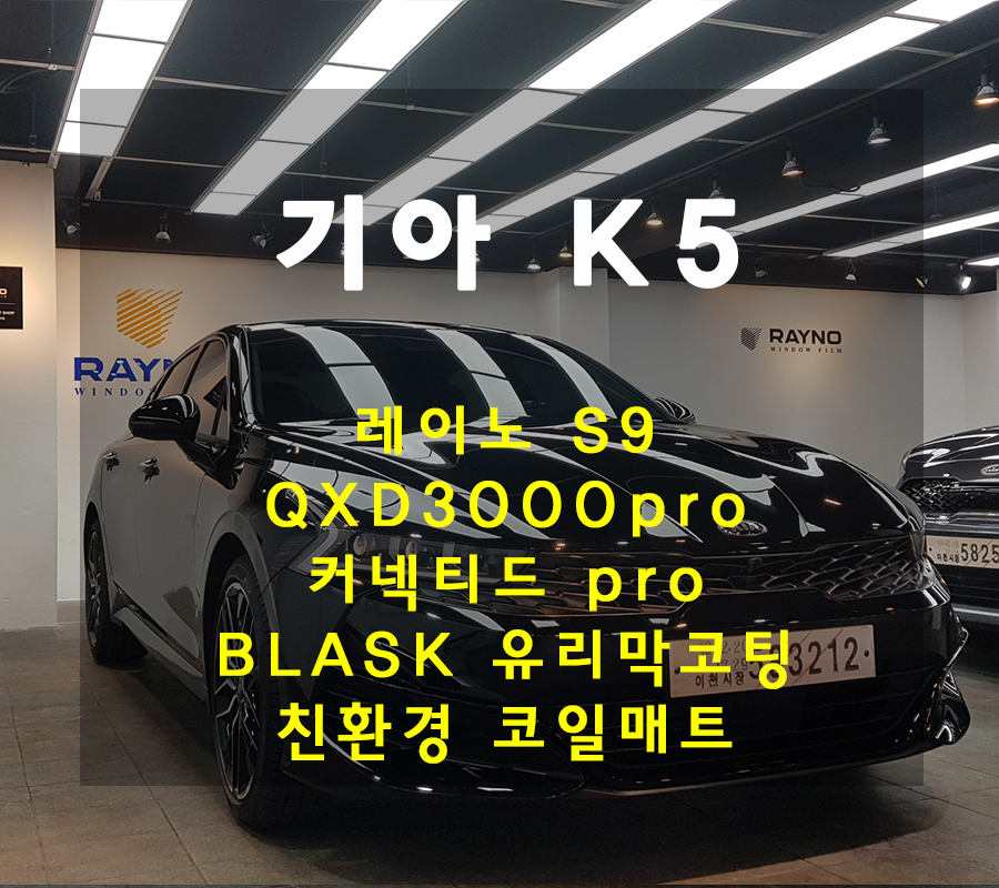 오토스타일레이노 이미지