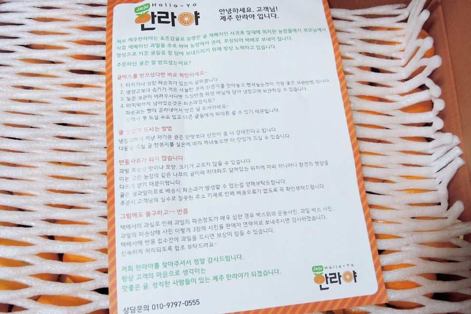 제주한라유통 이미지