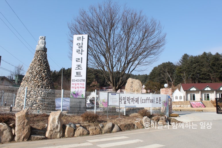 라일락카페라일락리조트 이미지