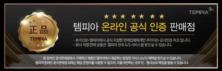 템피아 이미지
