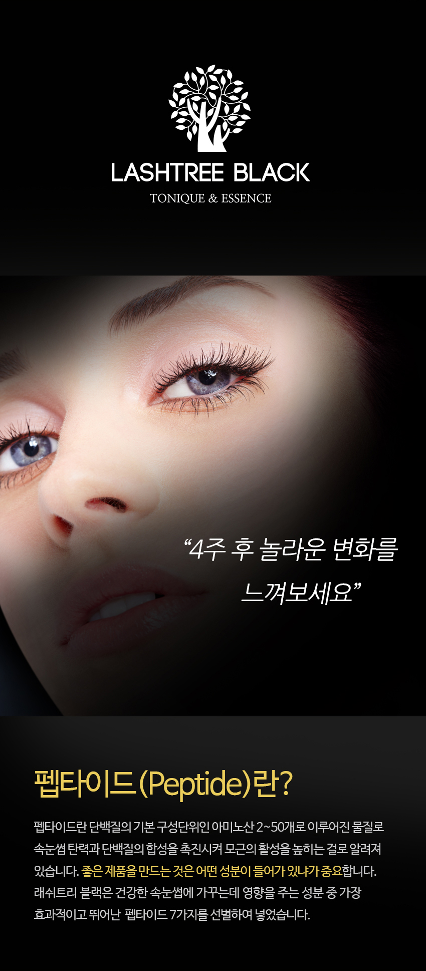 블랙래쉬 이미지