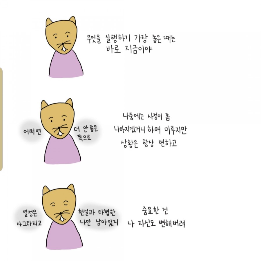 세일정형외과 이미지