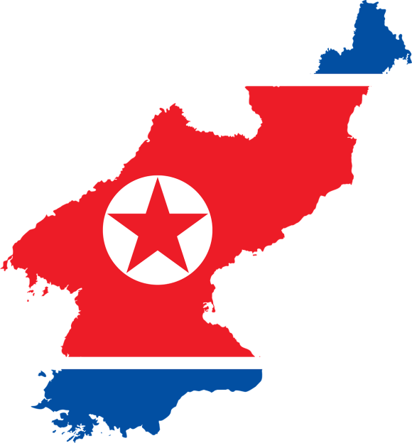 채다 이미지