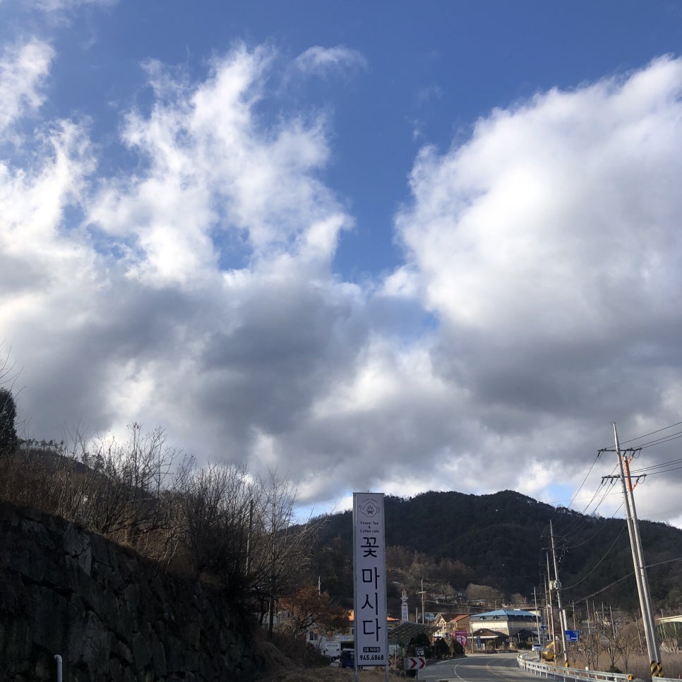 꽃마시다 이미지