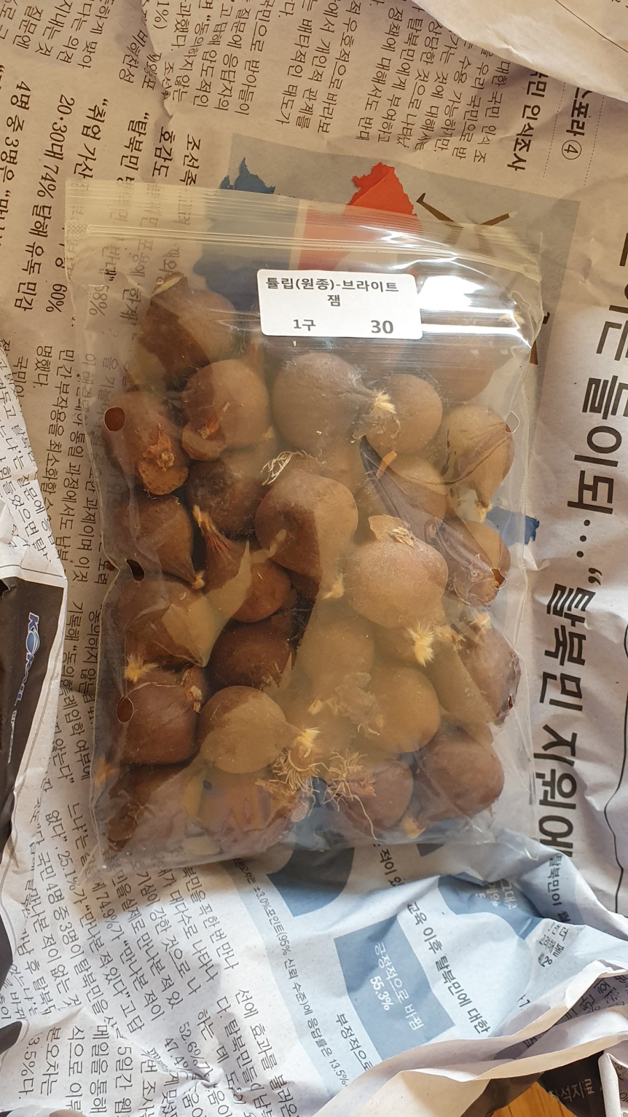 브라이트잼 이미지