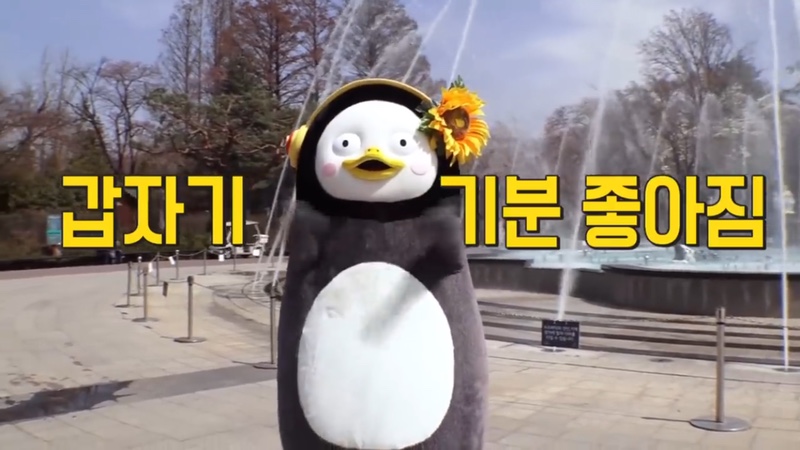 감성더하기스튜디오 이미지