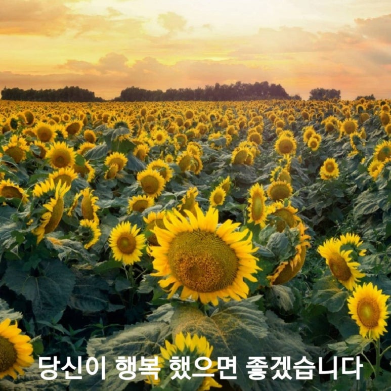 펠릭스컨설팅 이미지