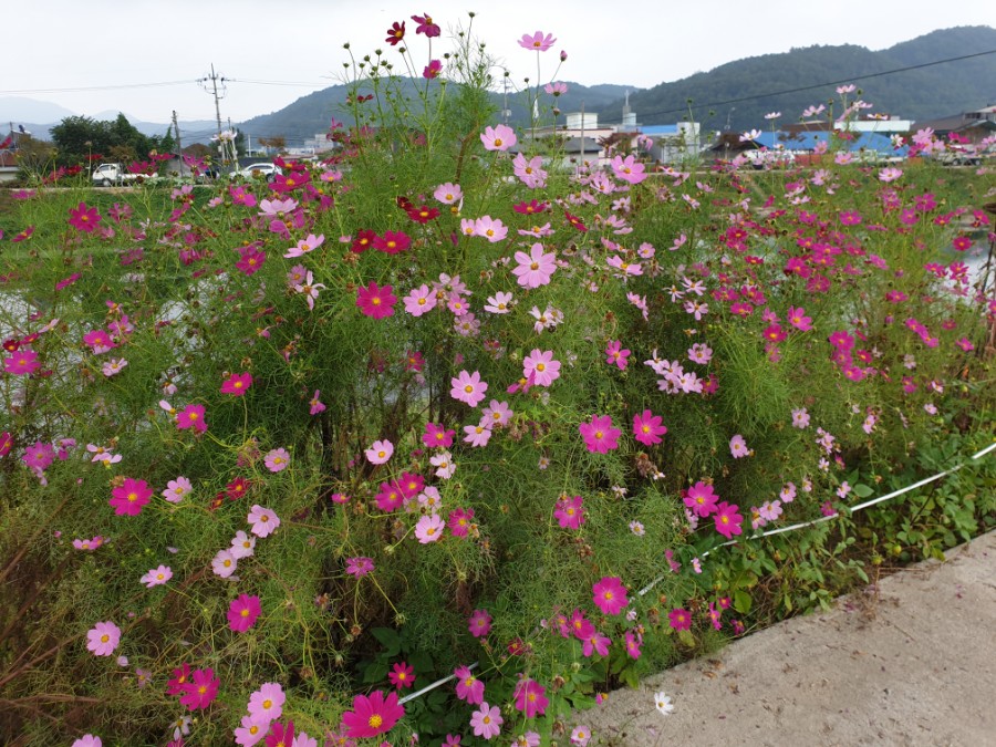 평화농산 이미지