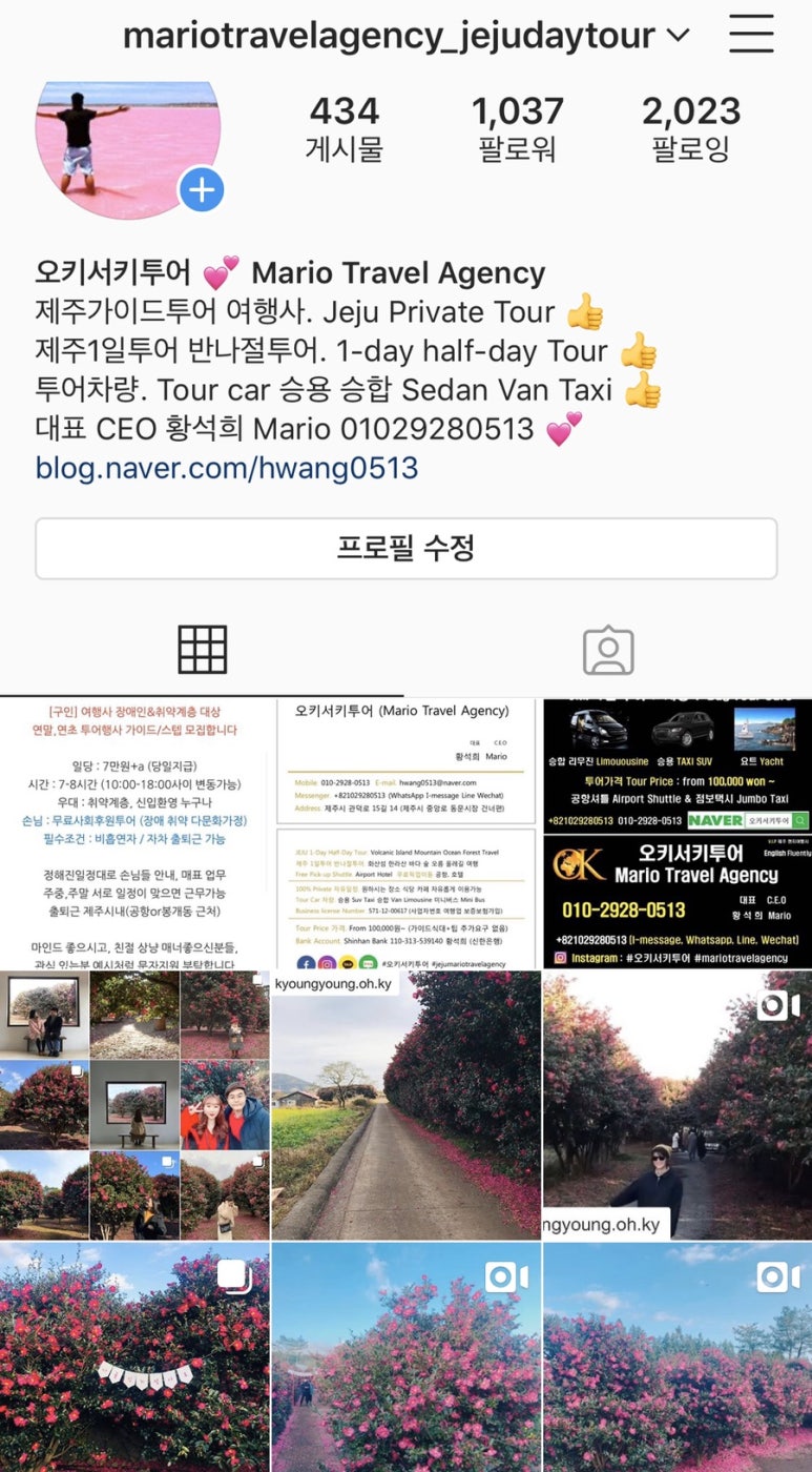 오키서키투어(Mario Travel Agency) 이미지