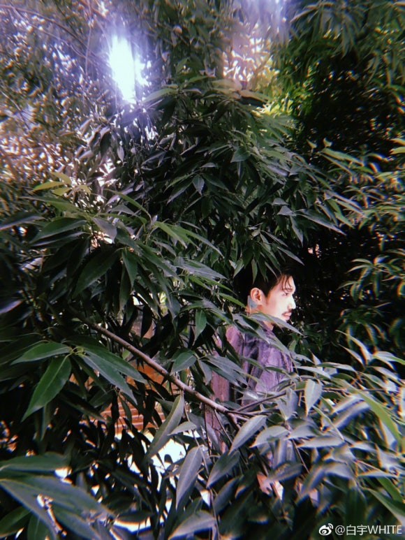 백우광고 이미지
