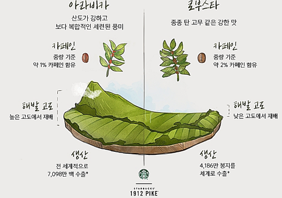 살렌토커피 이미지