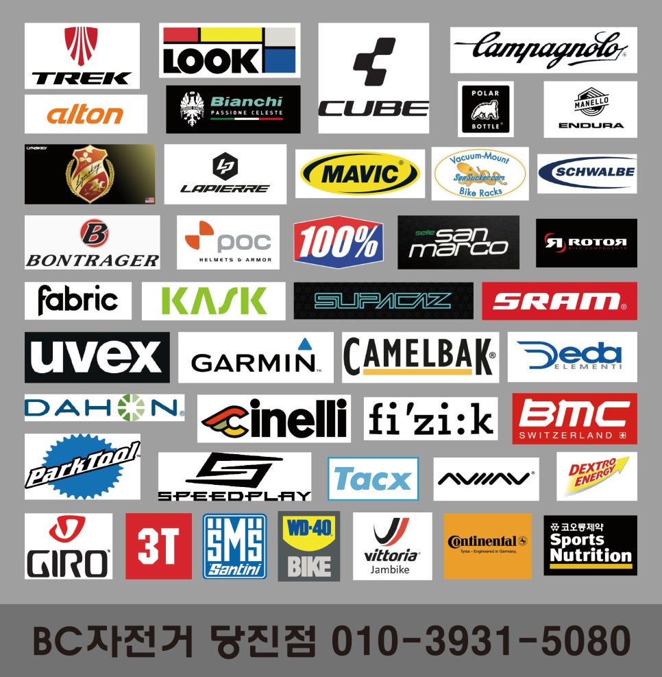 엘리트수 이미지