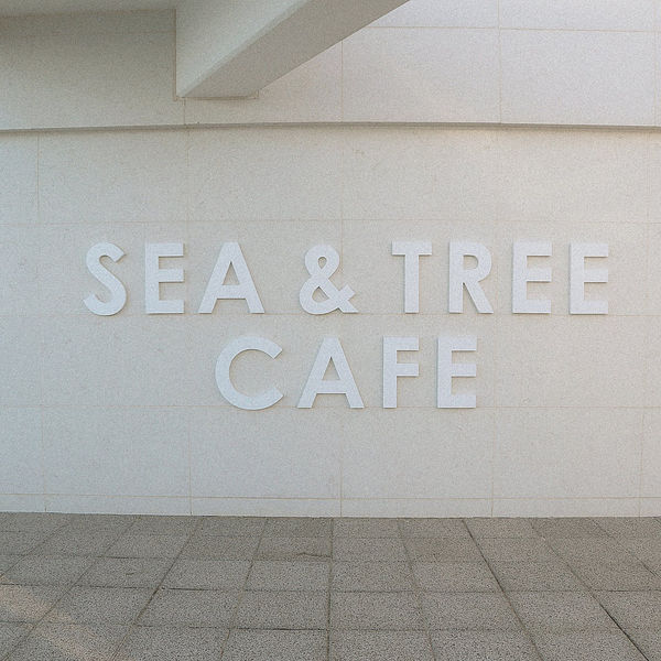 씨앤트리(Sea&Tree) 이미지