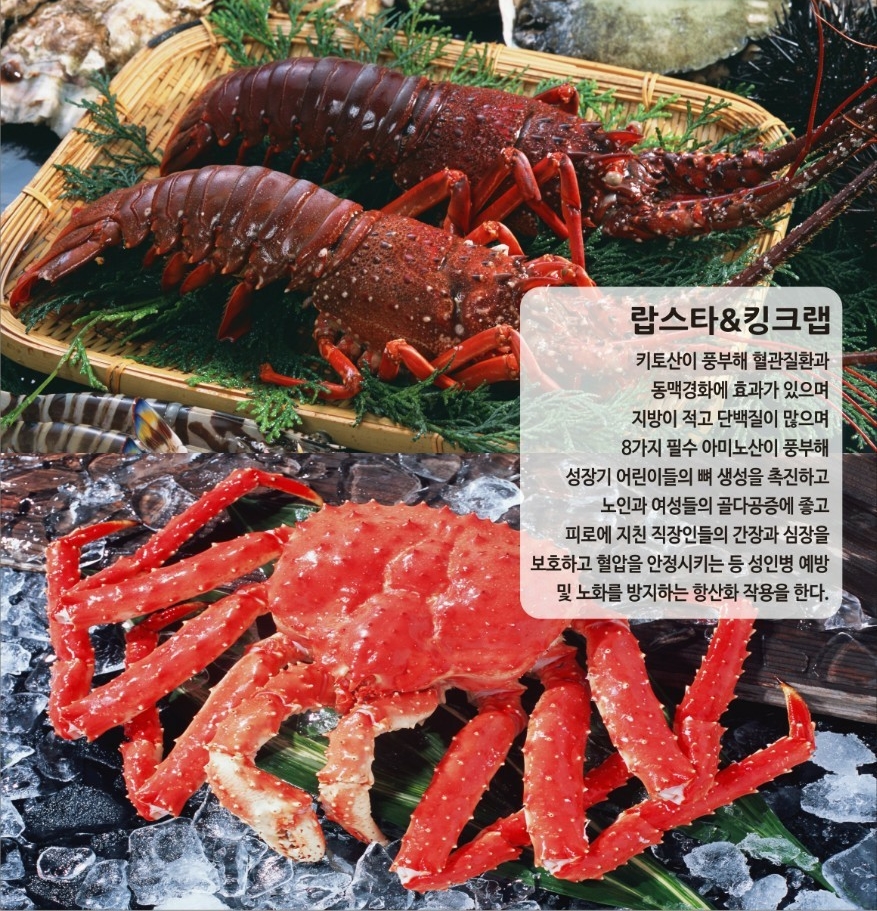 일오삼디자인 이미지