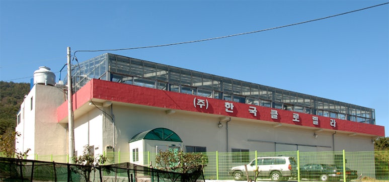 한국클로렐라 이미지