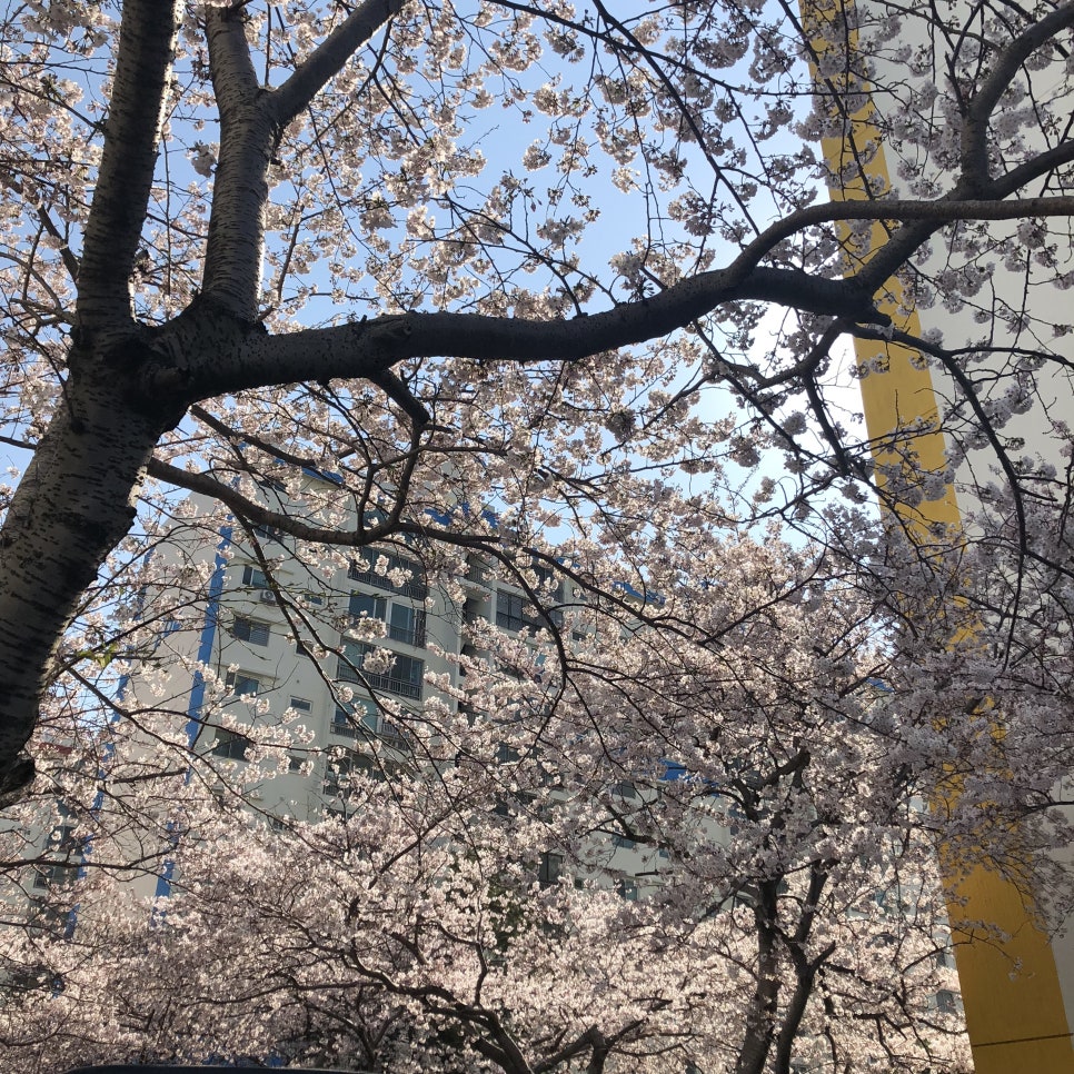 유동커피 광안해변로165 이미지