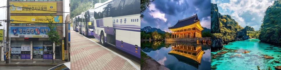 영신관광여행사 이미지