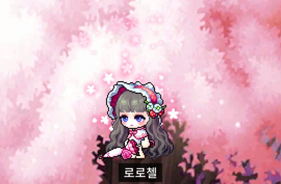 체리향기헤어 이미지
