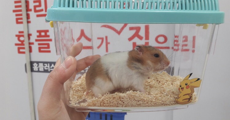 두수니 이미지