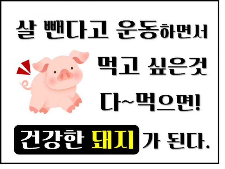 핫점핑다이어트 이미지