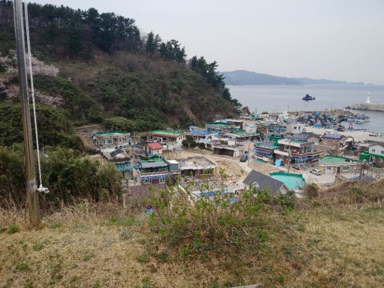 원덕농협주유소 이미지