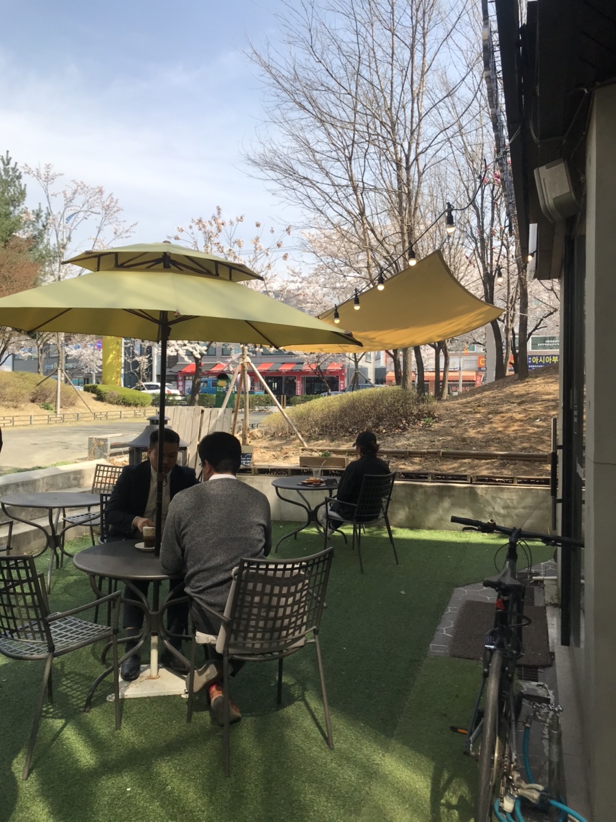 젠틀로스터스 이미지