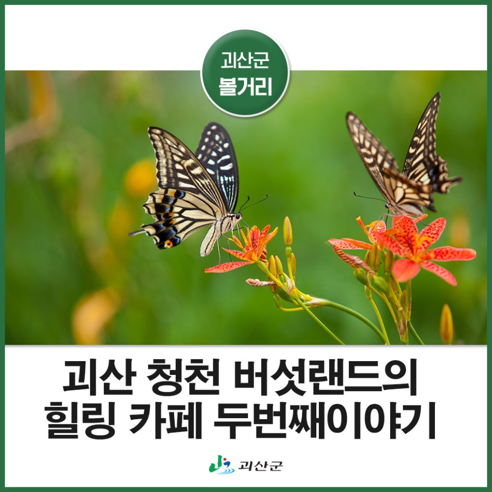 청천랜드 이미지