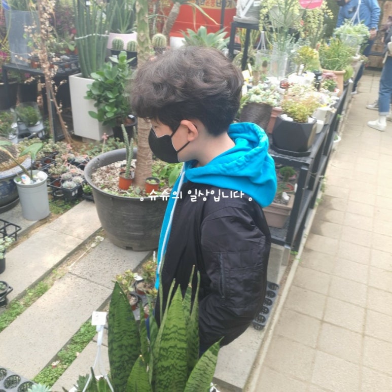 이레꽃화원 이미지