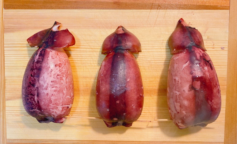 통통한오징어 이미지
