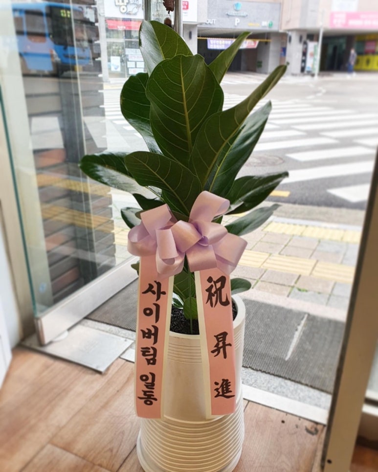 푸르미플라워 이미지