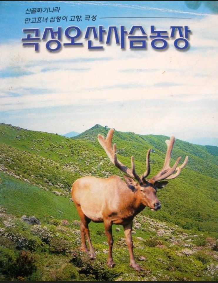 곡성사슴 이미지