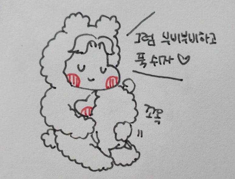 젠토리 이미지