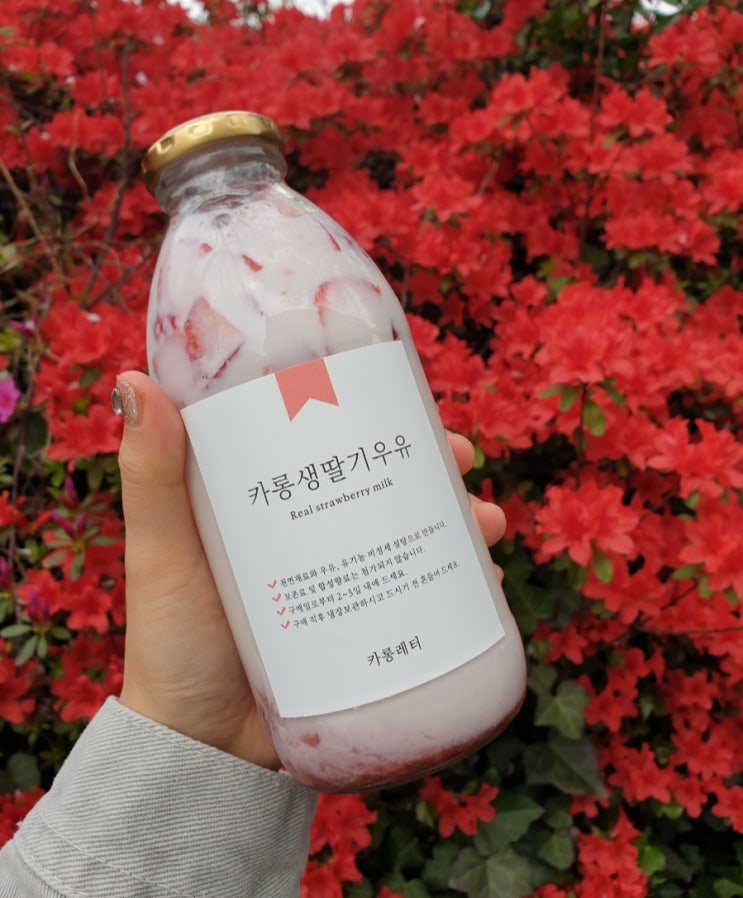 카롱레터 이미지