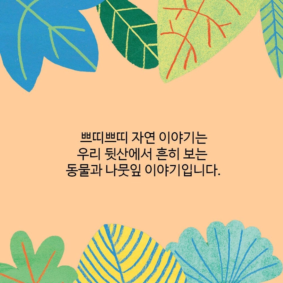 자연이야기 이미지