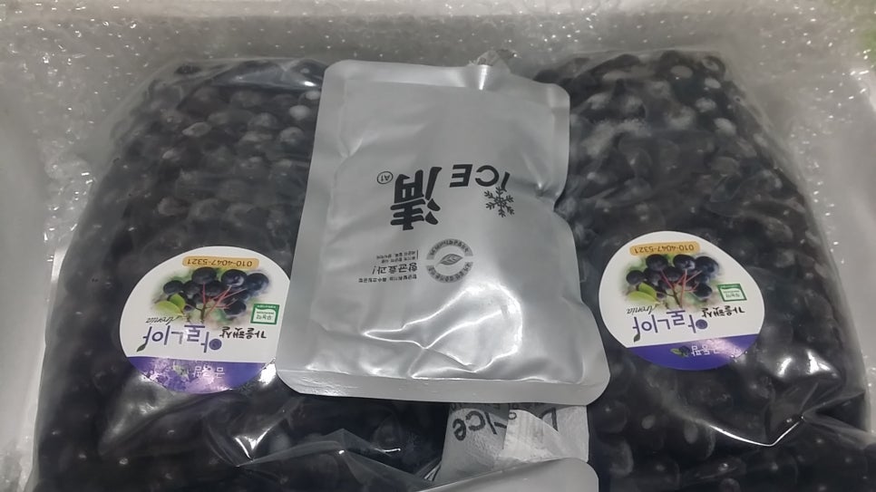금동팜아로니아 이미지