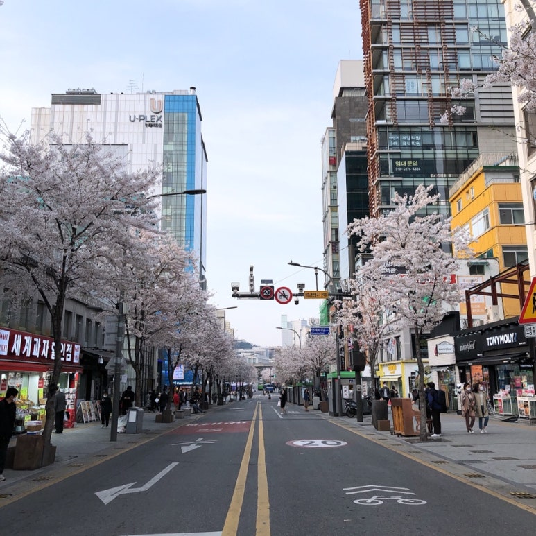 착한파스타 이미지