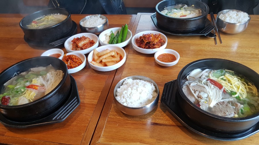 양지 이미지