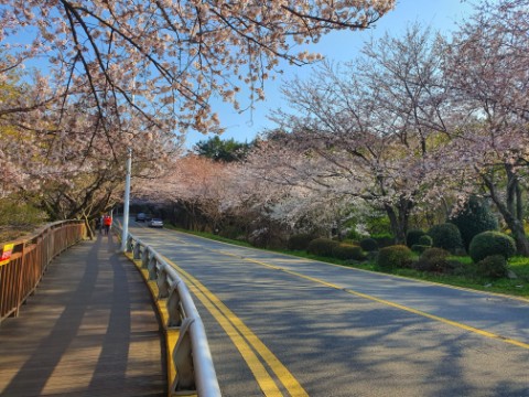 용궁해물짜장 이미지